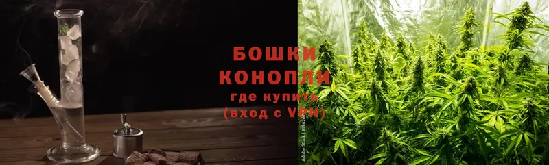 закладка  мега   Конопля Ganja  Тырныауз 